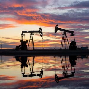 large-crane-is-silhouetted-against-sunset-sky_1194386-16447